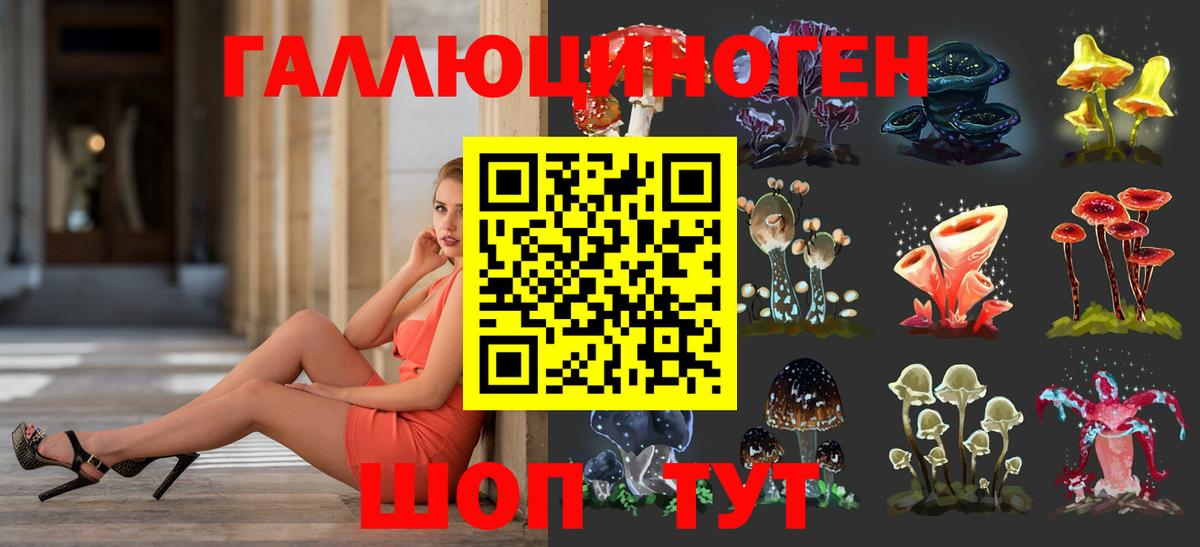 Аша  Галлюциногенные грибы Psilocybine cubensis  Вход с VPN 