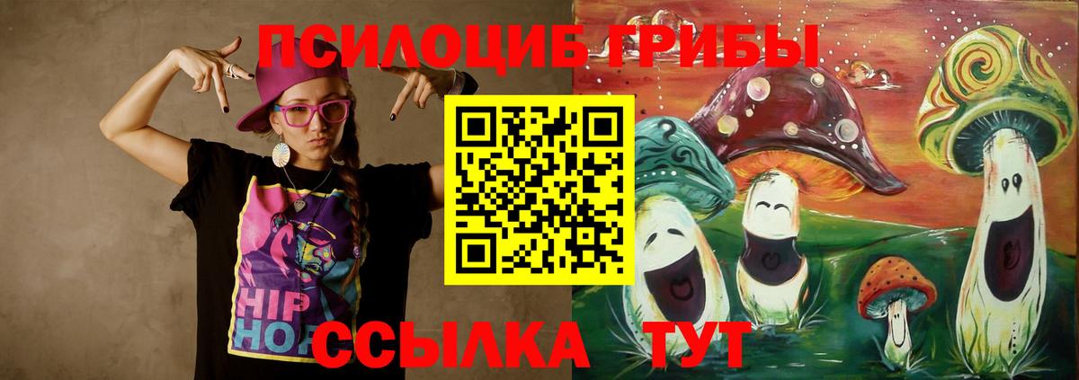 Псилоцибиновые грибы мицелий Аша